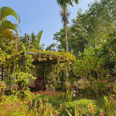 Villa My Long Cần Thơ Zewnętrze zdjęcie