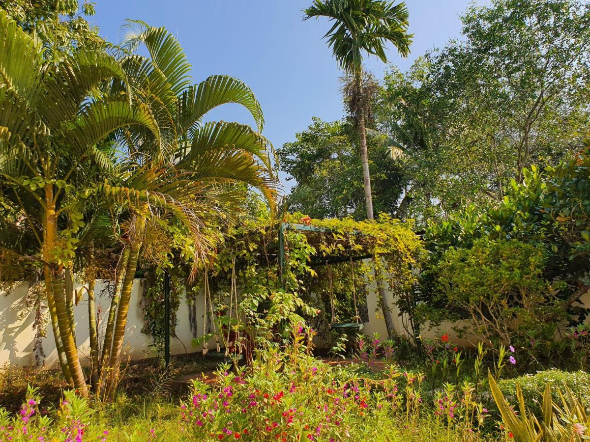 Villa My Long Cần Thơ Zewnętrze zdjęcie